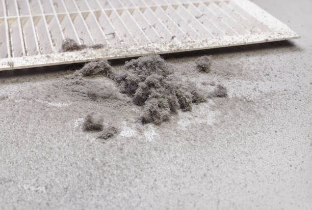 Best Home Air Vent Cleaning  in Notre Dame, IN