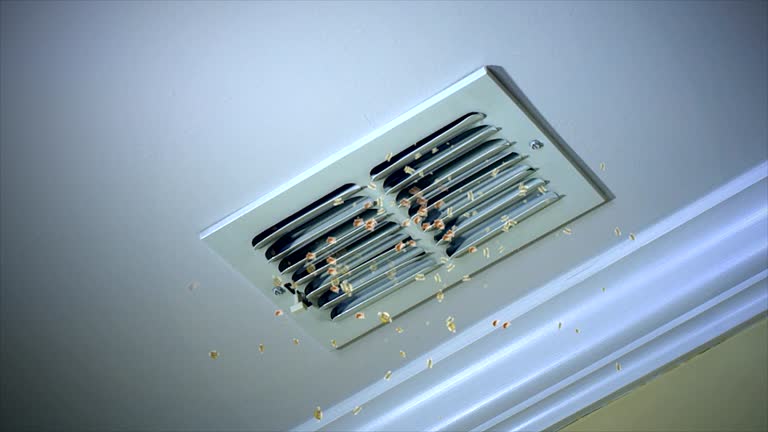  Notre Dame, IN Airduct Cleaning Pros