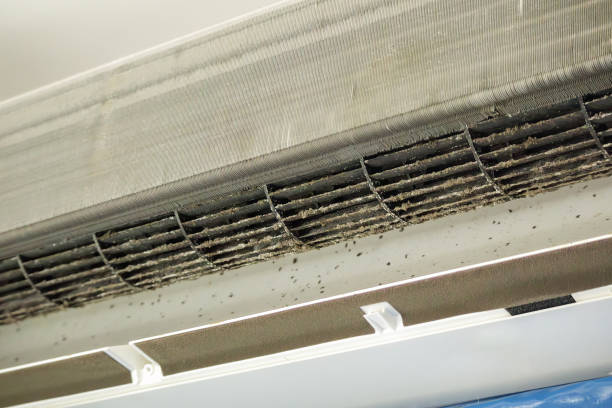 Best Residential Air Duct Cleaning  in Notre Dame, IN